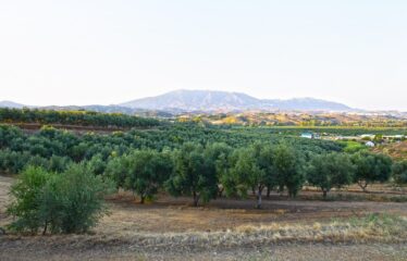 Parcelas en La Cala Golf Resort de Mijas