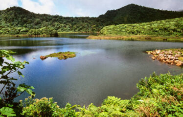 Caribe DOMINICA Ciudadanía